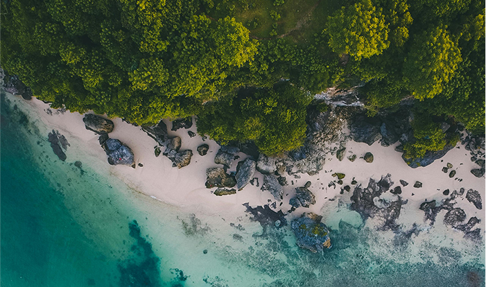 ΰ�¹���(victor1946)�ٷ���վ-Officials Website