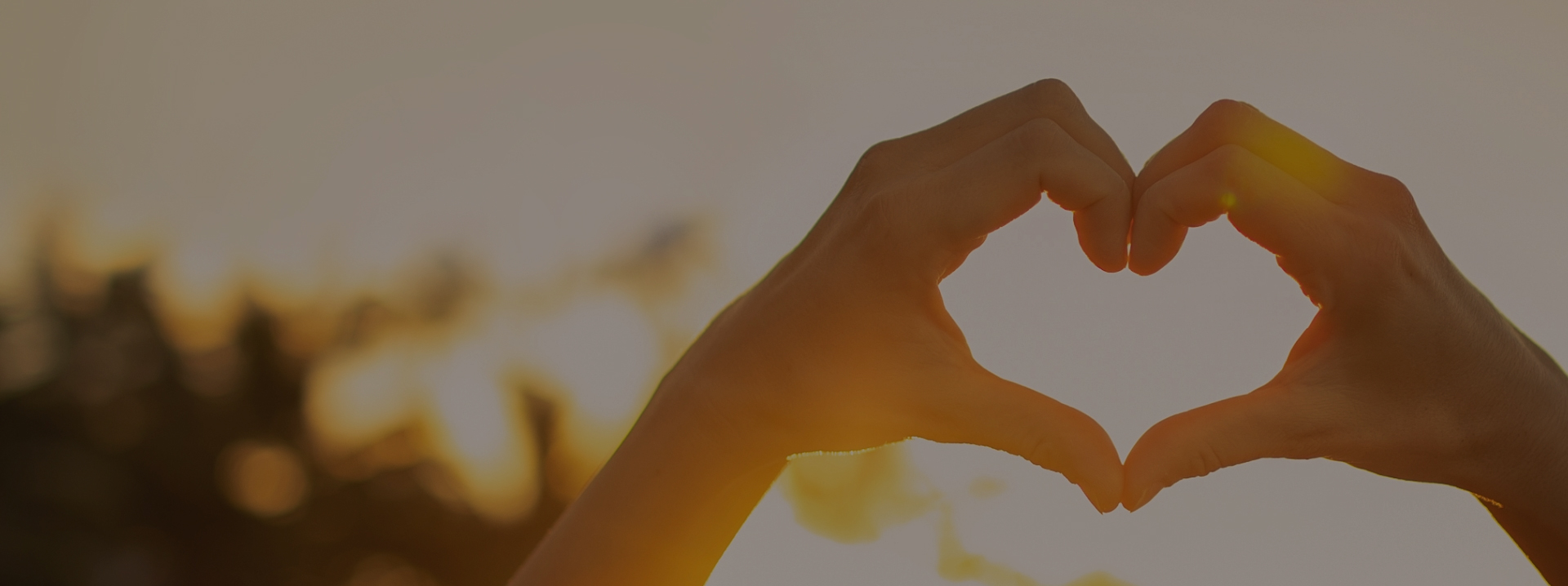 ΰ�¹���(victor1946)�ٷ���վ-Officials Website