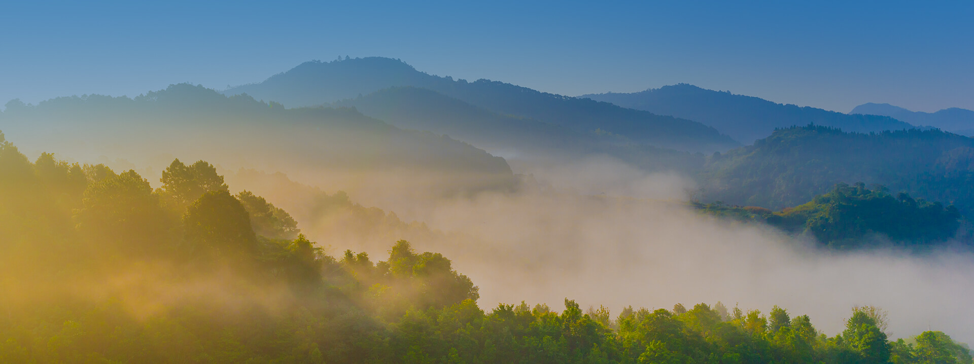 ΰ�¹���(victor1946)�ٷ���վ-Officials Website