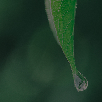 ΰ�¹���(victor1946)�ٷ���վ-Officials Website