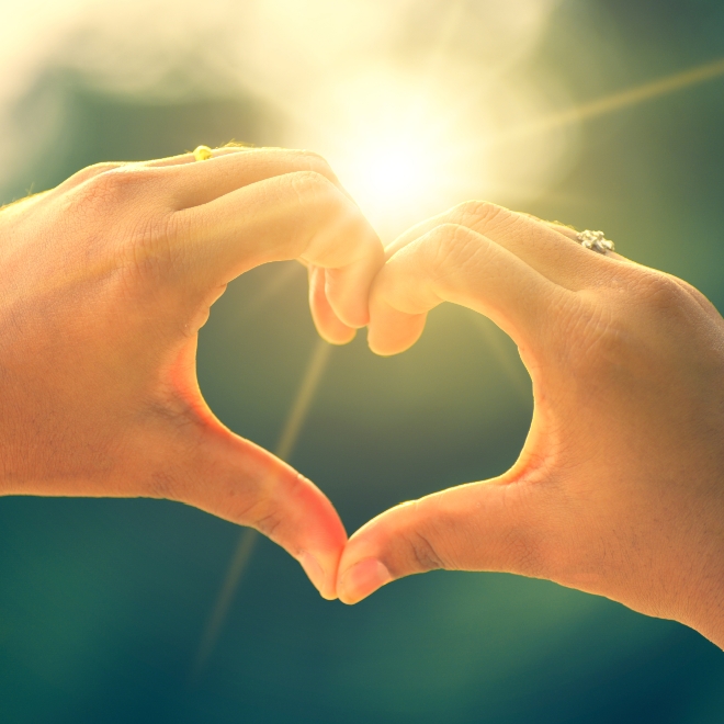 ΰ�¹���(victor1946)�ٷ���վ-Officials Website